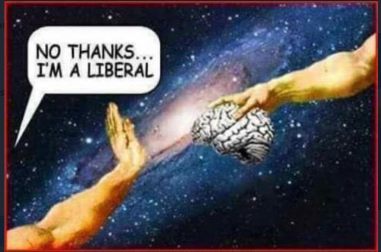 PHOTO No Thanks I'm A Liberal Meme