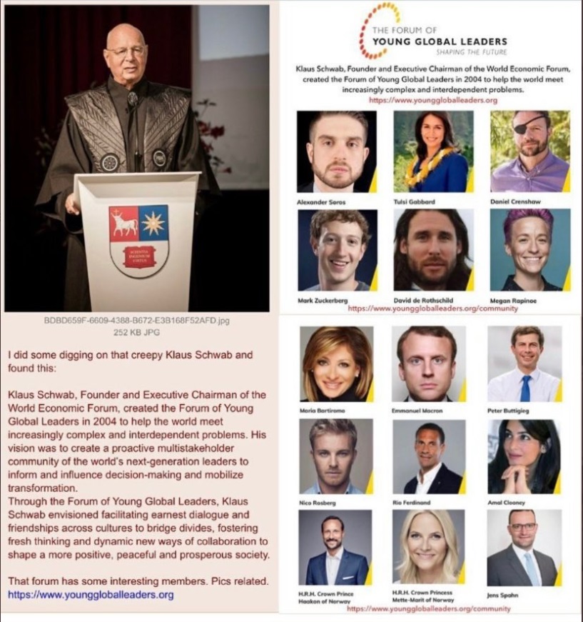 PHOTO Tulsi Gabbard Is A Member Of Young Global Leaders And Knows Klaus Schwab