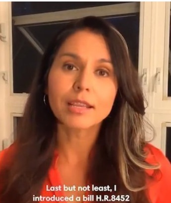 PHOTO Tulsi Gabbard Working From Her Basement