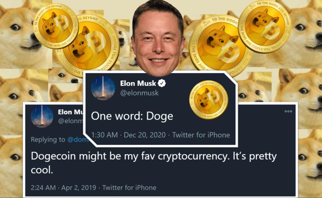 which crypto does elon musk own