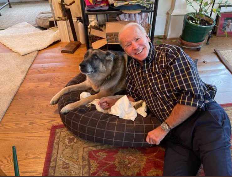 PHOTO Joe Biden Sitting With His Dog Its Bed At Home