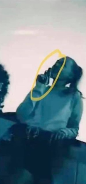 PHOTO Gabby Petito Holding Loaded Gun To Her Head