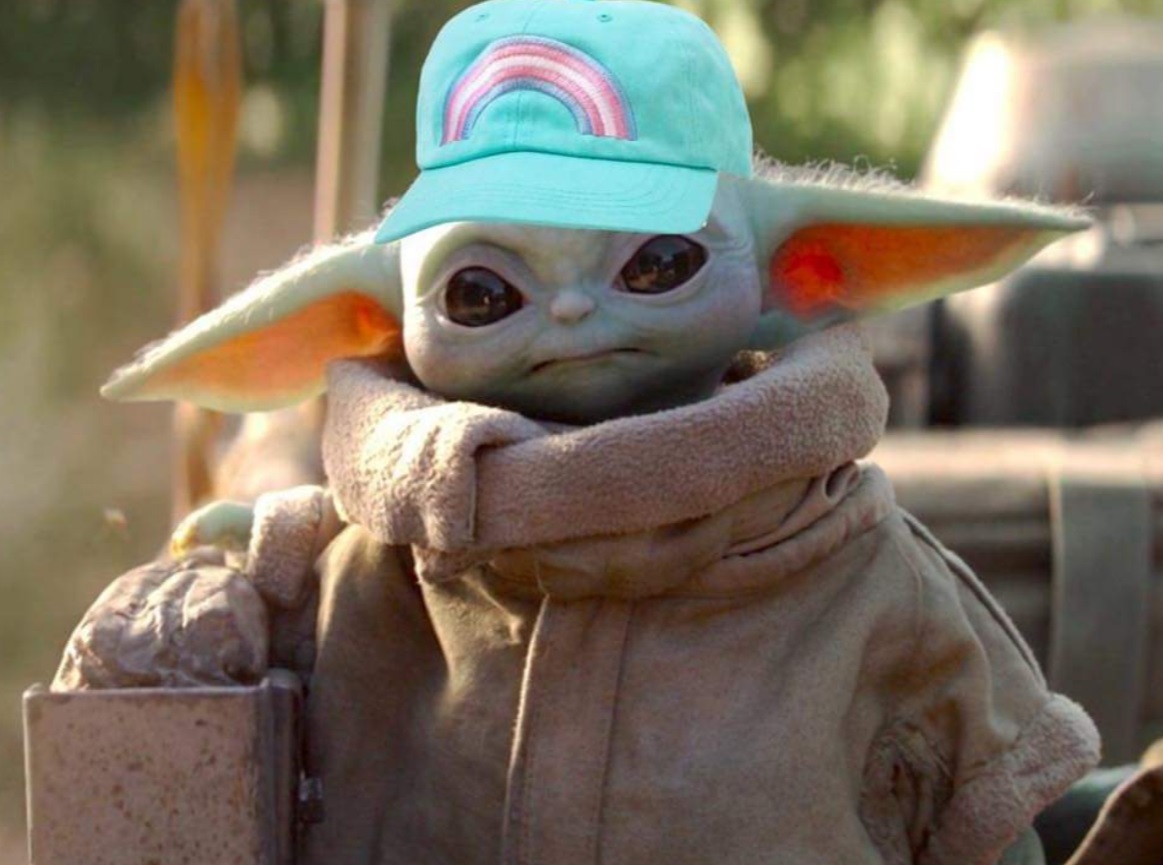 PHOTO Baby Yoda Wearing A Trans Rights Hat