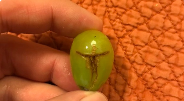 PHOTO A Mandalorian Grape
