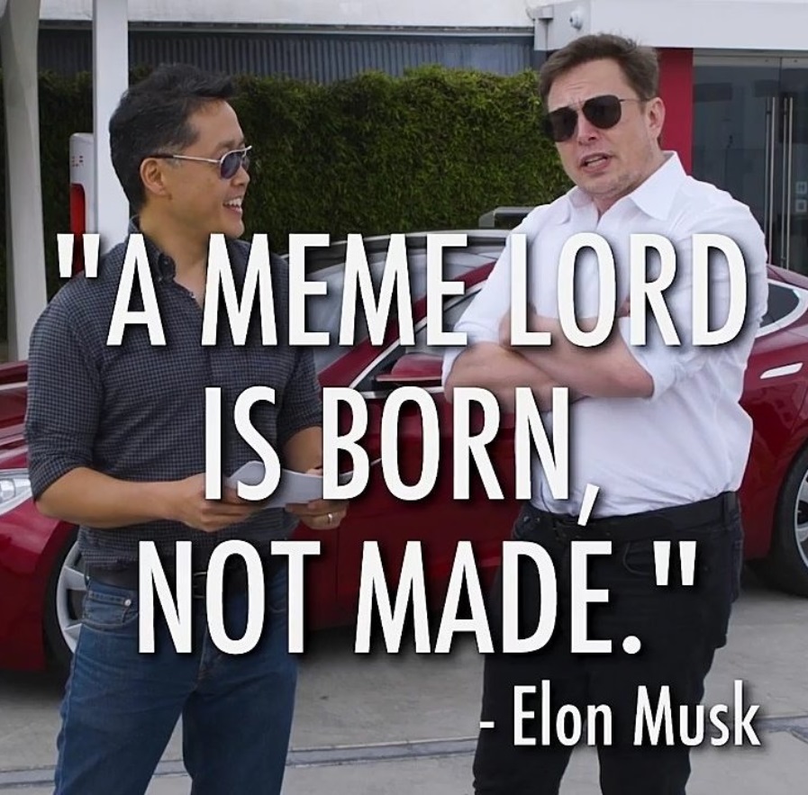 PHOTO A Meme Lord is Born Not Made Elon Musk