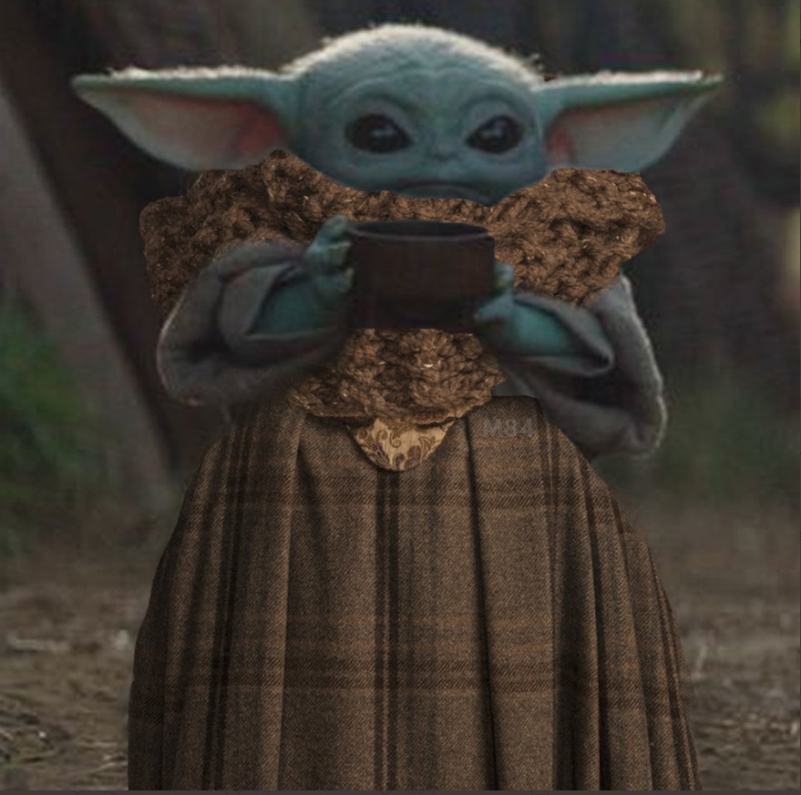 PHOTO Baby Yoda Dressed Up Like Claire Fraser