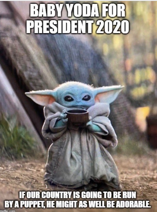 PHOTO Baby Yoda For President 2020 Meme