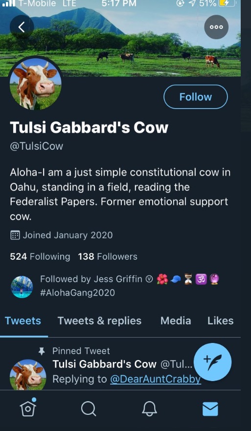 PHOTO Tulsi Gabbard Mocked With Cow Account Online