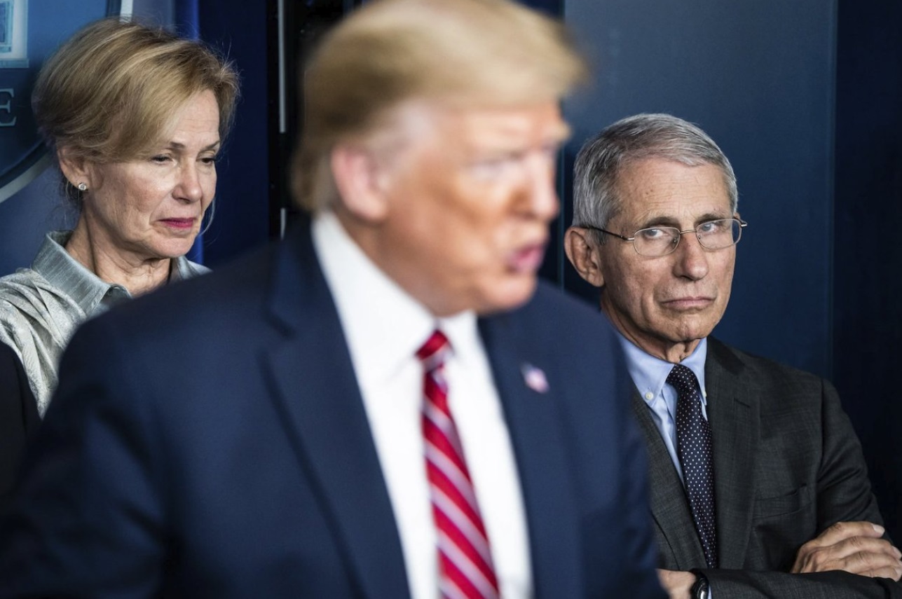 PHOTO Dr Fauci Looking At Donald Trump Like You're An Idiot