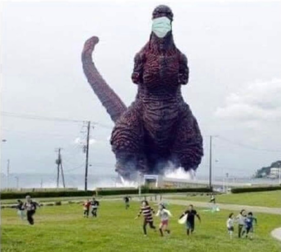 PHOTO People Of Texas Running From Animals To Avoid Catching Corona Virus