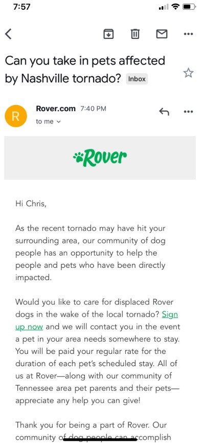 PHOTO There Are So Many Pets Displaced Rover is Asking For People Who Would Be Able To Take Them In