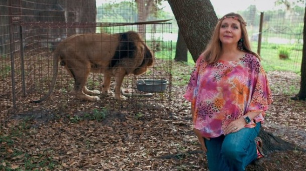 PHOTO Carol Baskin Snitching On Herself Puts Tiger In Small Cage