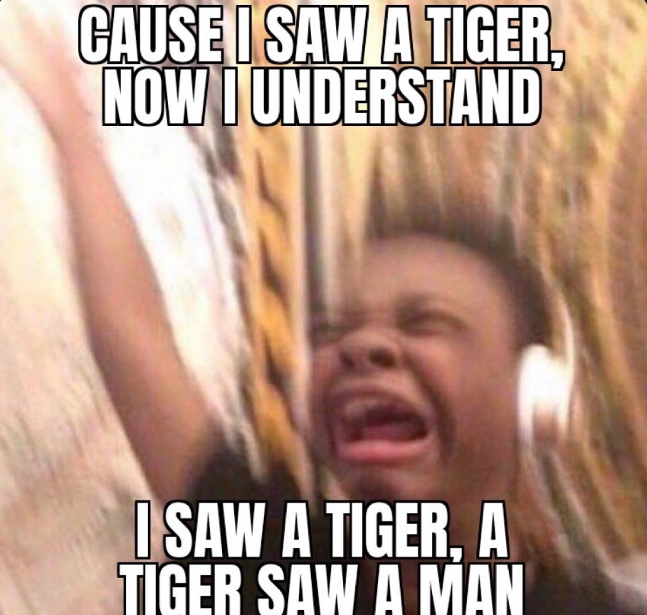 PHOTO Cause I Saw A Tiger Now I Understand Joe Exotic Meme