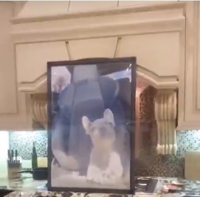 PHOTO Dak Prescott Had A Framed Picture Of A Pug At His 30 Person Party