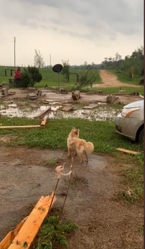 PHOTO Home Completely Leveled By Tornado In Mississippi