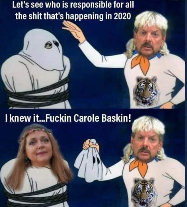 PHOTO Let's See Who Is Responsible For All The Shit That's Happening In 2020 Carol Baskin Meme