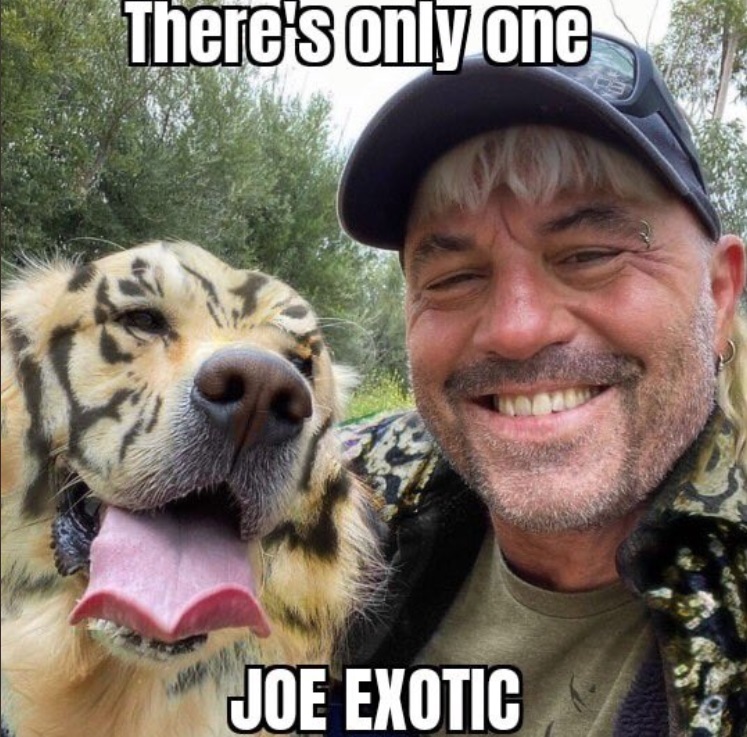 PHOTO There's Only One Joe Exotic