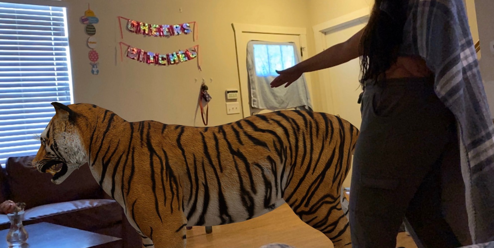 PHOTO Women Lets Tiger In Her House After Watching Tiger King