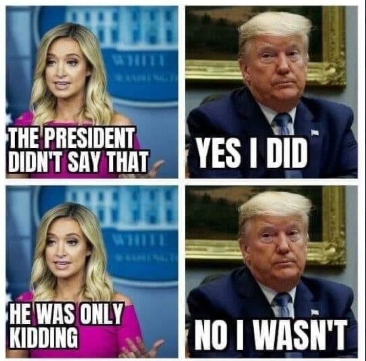 PHOTO Kayleigh McEnany Arguing Over Whether Donald Trump Was Kidding Or Not Meme