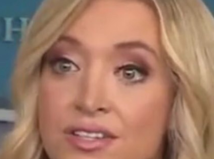 PHOTO Kayleigh McEnany's Wild Facial Expressions Because She Knows She's Lying 