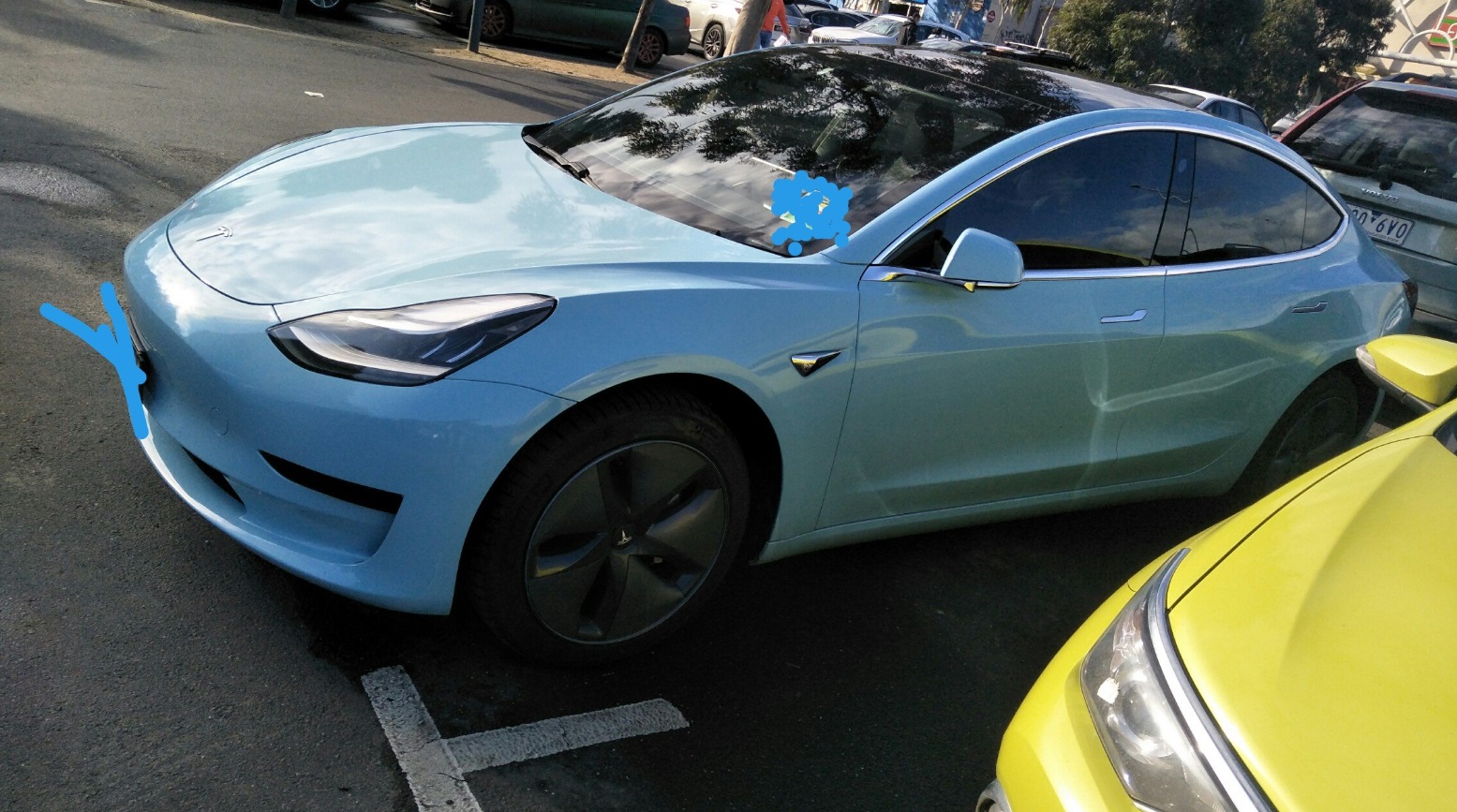 PHOTO Tesla In Baby Blue