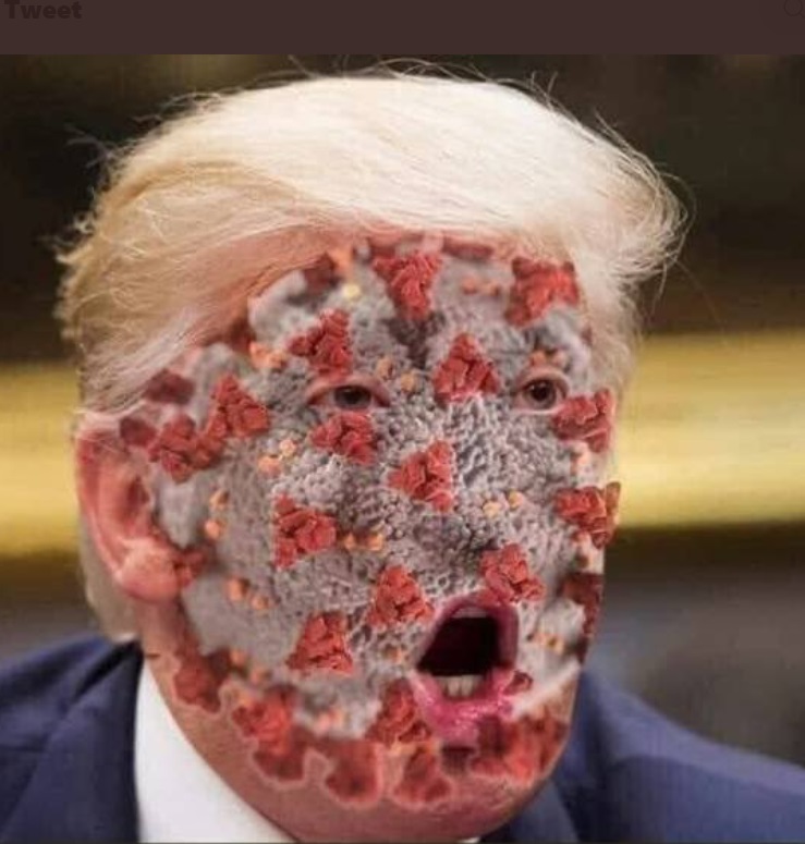 GRAPHIC PHOTO Donald Trump's Entire Face Covered In Coronavirus