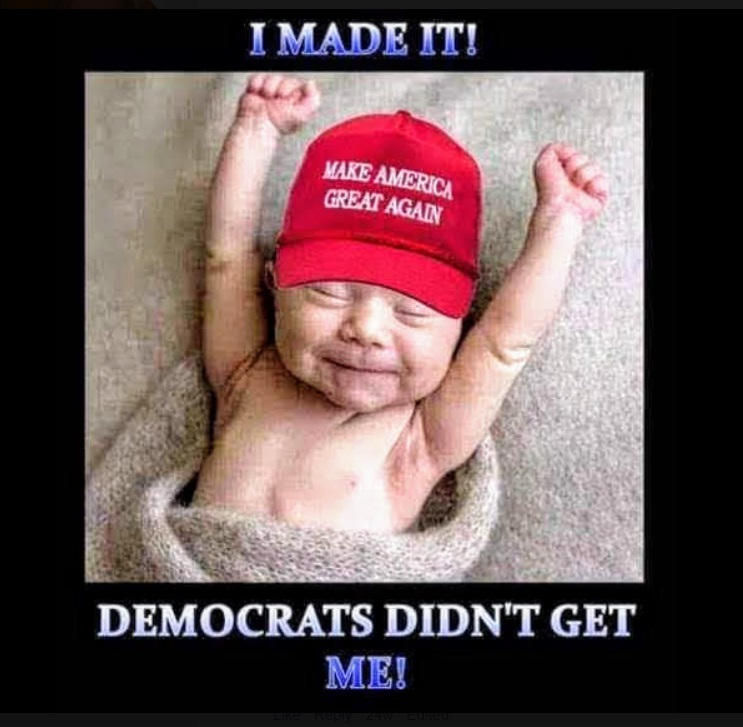 PHOTO I Made It Democrats Didn't Get Me Trump Baby Meme