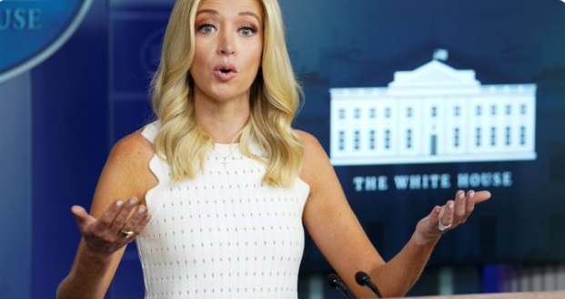 PHOTO Kayleigh McEnany Shrugging At Media Like You Think I'm Wrong