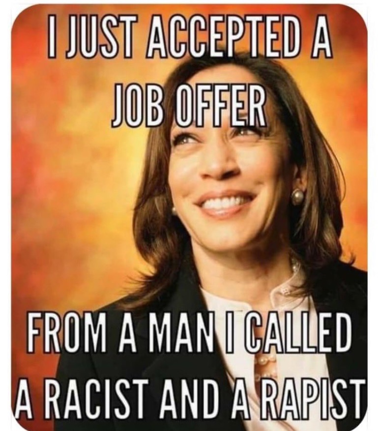 PHOTO I Just Accepeted A Job Offer From A Man I Called A Racist Kamala Harris Meme