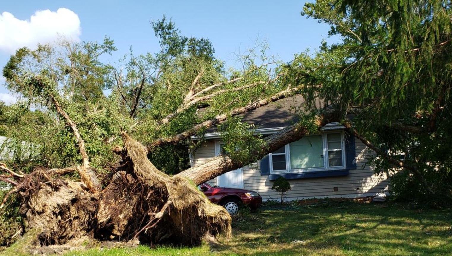 PHOTO Tree The Size Of Two Pickup Trucks Uprooted And Sitting On One Story House In Iowa