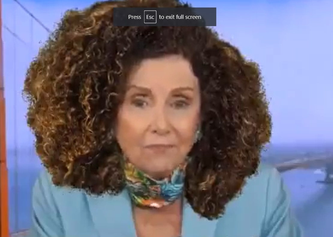 PHOTO Nancy Pelosi With An Afro